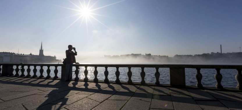 Expert-led Introduction To Stockholm Tour