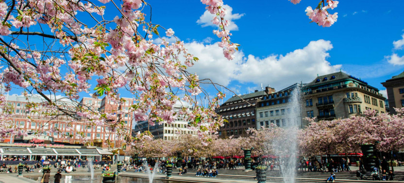 Expert-led Stockholm Royal Palace Tour