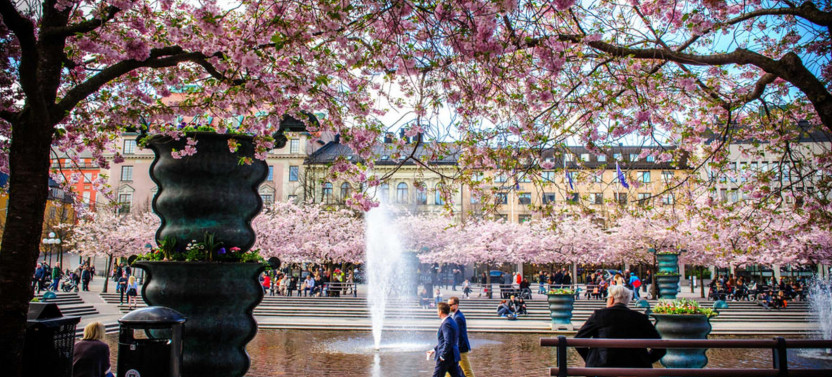 Expert-led Stockholm Royal Palace Tour