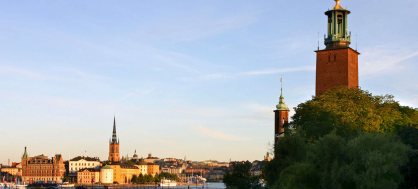 Expert-led Stockholm Political History Tour