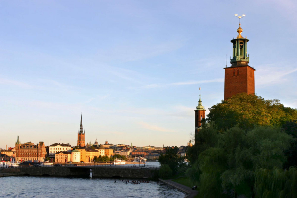 Expert-led Stockholm Political History Tour