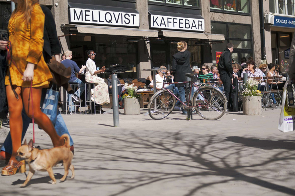 Expert-led Södermalm Neighborhood Tour