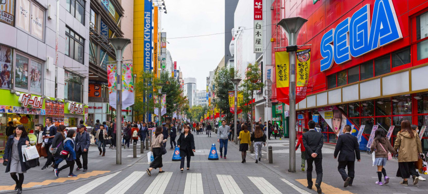 Expert-led Tokyo Pop Culture Tour For Kids