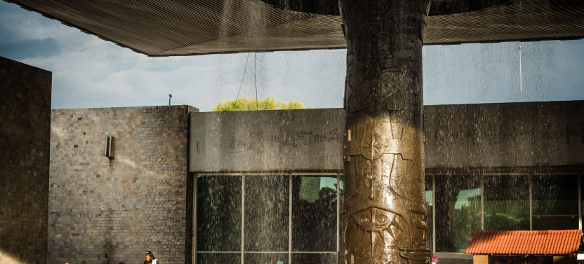 Expert-led National Museum Of Anthropology Tour