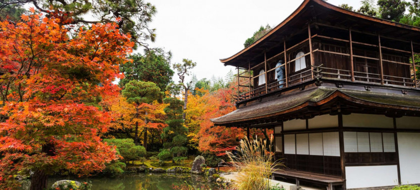 Expert-led Philosopher's Path Tour: Nature And Buddhism In Kyoto