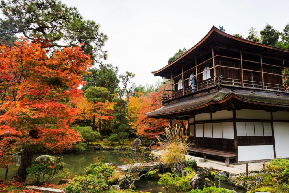 Expert-led Philosopher's Path Tour: Nature And Buddhism In Kyoto