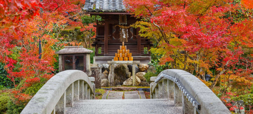 Expert-led Philosopher's Path Tour: Nature And Buddhism In Kyoto