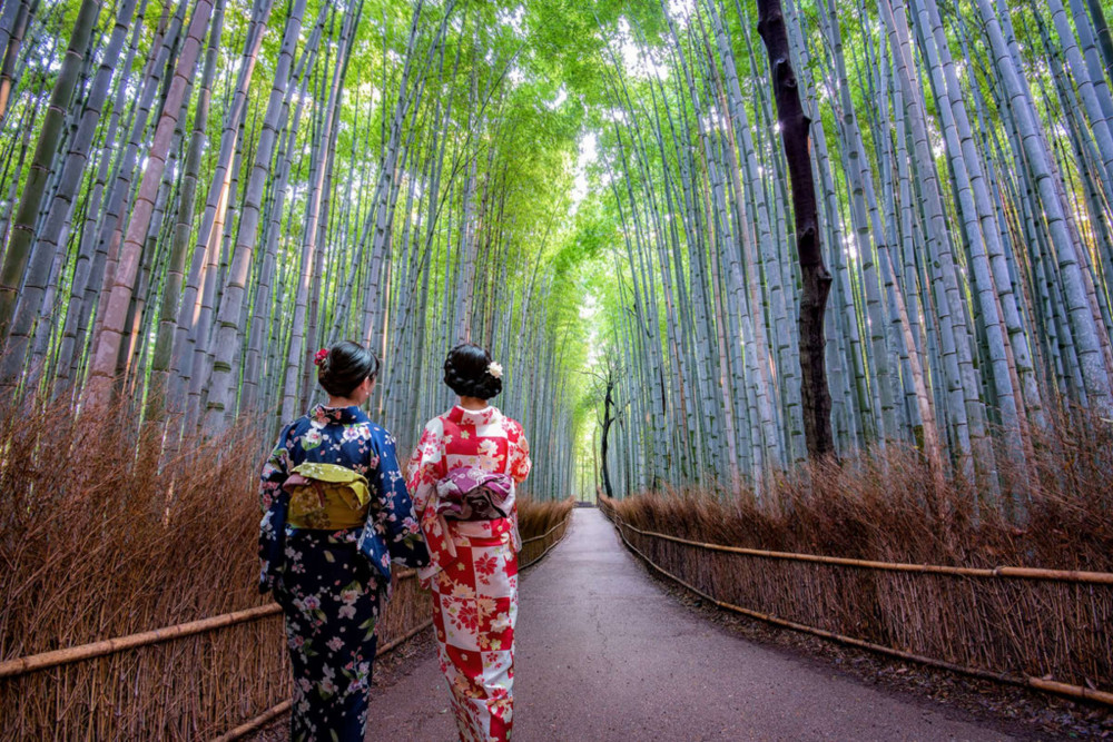 Expert-led Half-day Arashiyama Tour From Kyoto