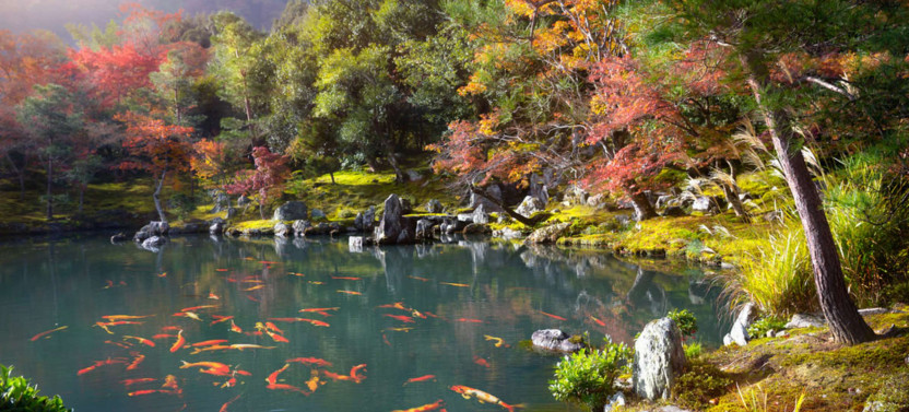 Expert-led Half-day Arashiyama Tour From Kyoto