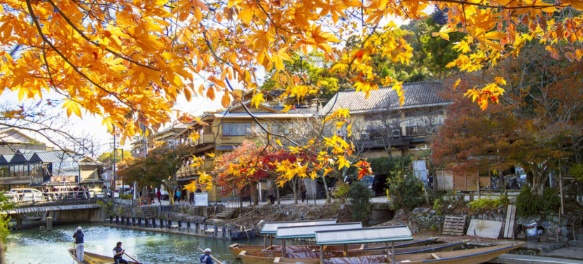Expert-led Half-day Arashiyama Tour From Kyoto
