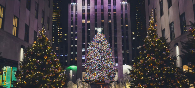 Expert-led New York Holiday Season Tour