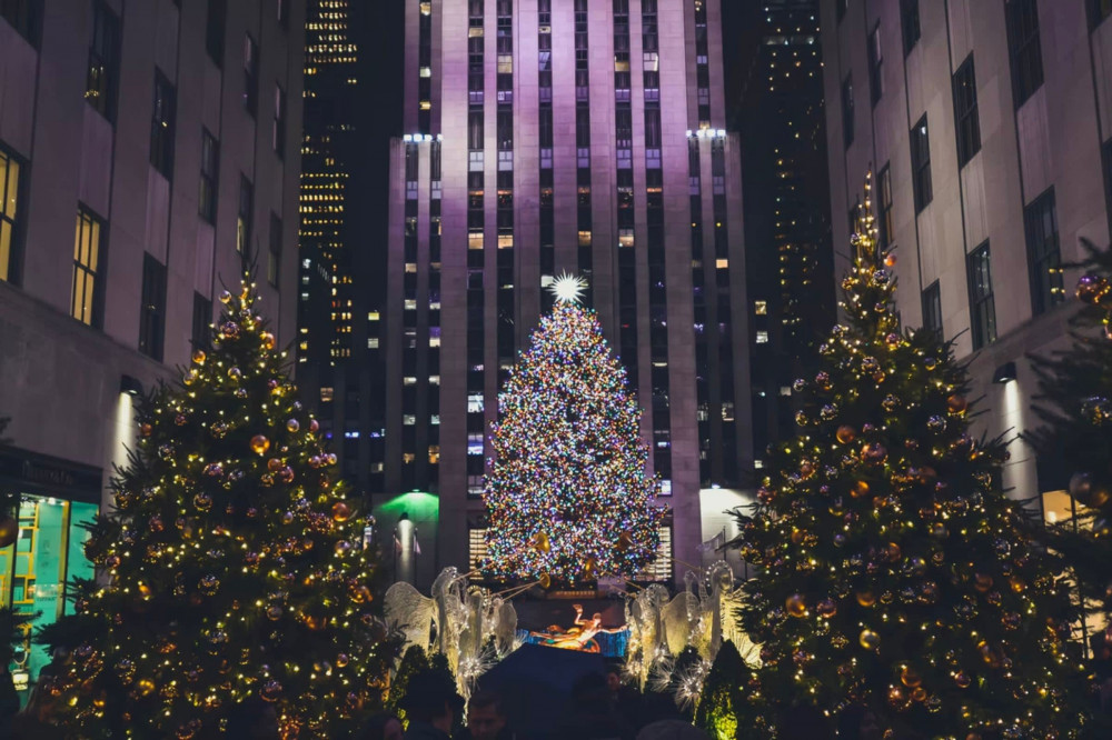 Expert-led New York Holiday Season Tour