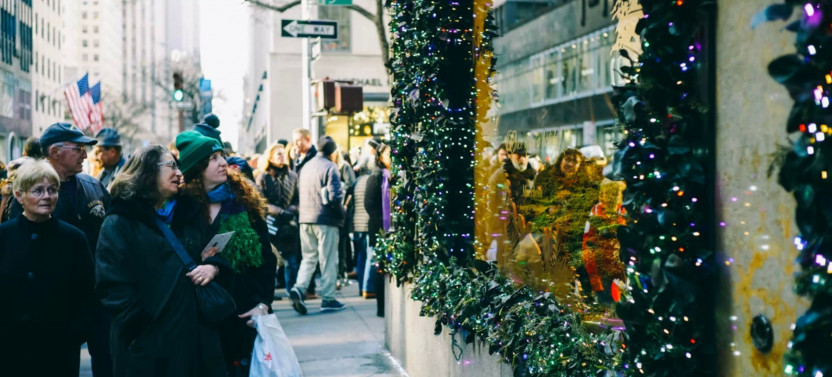Expert-led New York Holiday Season Tour