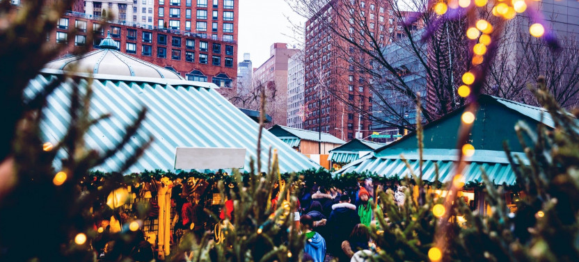 Expert-led New York Holiday Season Tour