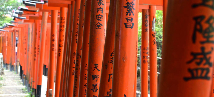 Expert-led Tokyo In A Day Tour: Yanesen, Ueno, And Asakusa