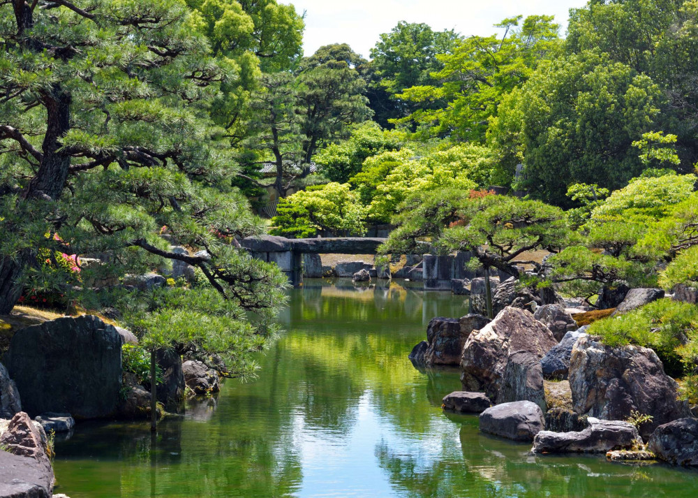 Expert-led Kyoto Introduction Tour: Nijo Castle And Imperial Palace