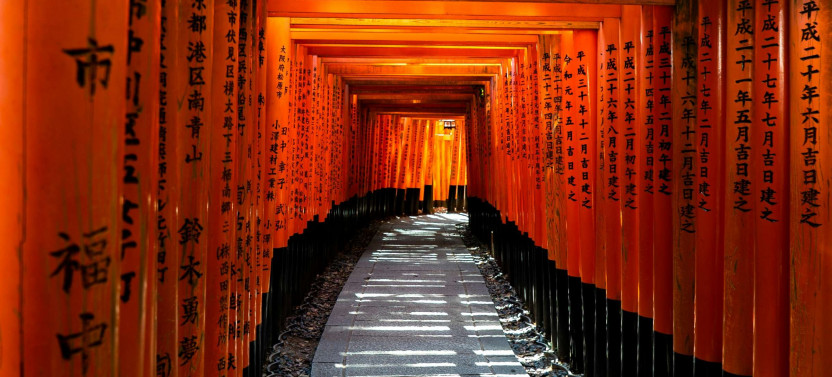 Expert-led Fushimi Inari Taisha Tour
