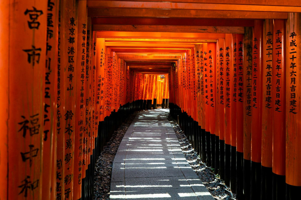 Expert-led Fushimi Inari Taisha Tour