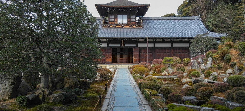 Expert-led Fushimi Inari Taisha Tour