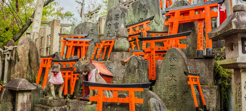 Expert-led Fushimi Inari Taisha Tour