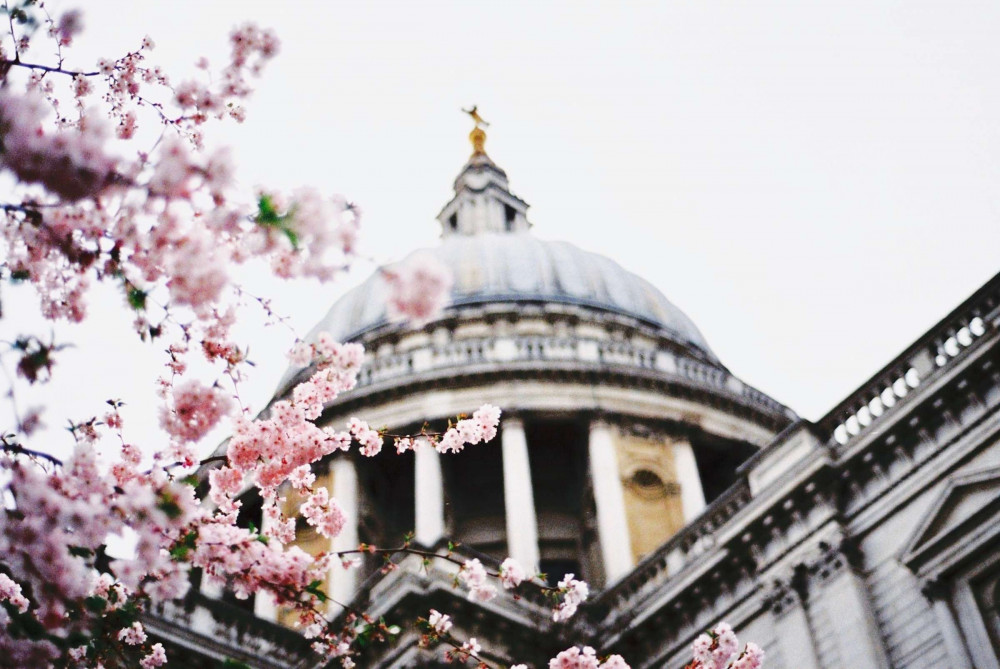 Expert-led London Blitz Wwii Tour With St Paul's Cathedral