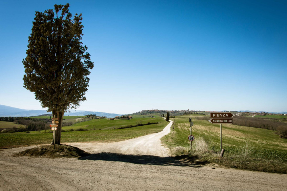 Expert-led Full-day Tuscany Day Trip From Siena With Wine Tasting