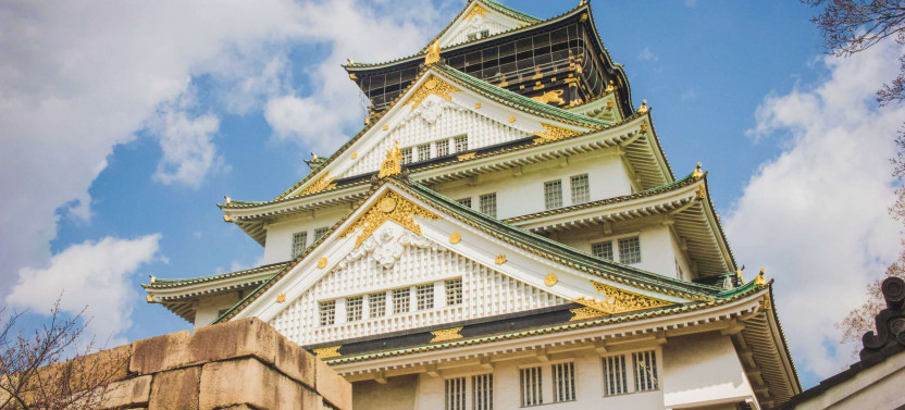 Expert-led Introduction To Osaka Tour
