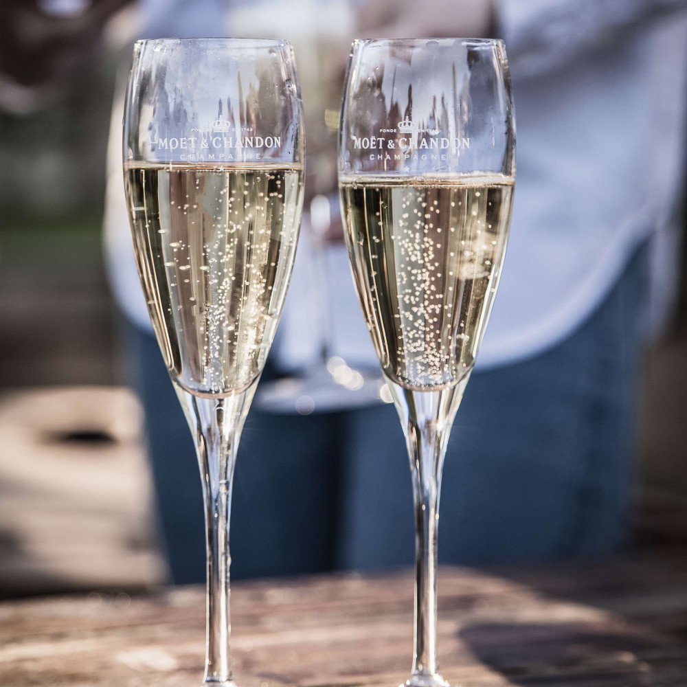 Expert-led Full-day Champagne Tasting Tour From Paris