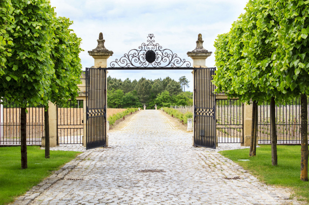 Expert-led St. Emilion & Pomerol Full-day Wine Tasting Tour By Private Car