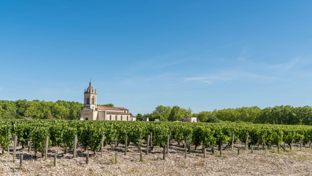 Expert-led Full-day Médoc Wine Tasting Tour