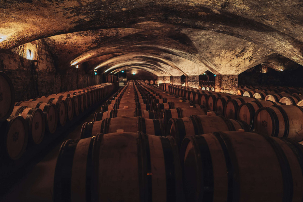 Expert-led Burgundy Full-day Wine Tasting Tour With Lunch