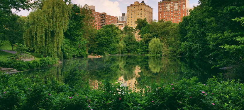 Expert-led New York Half-day Tour