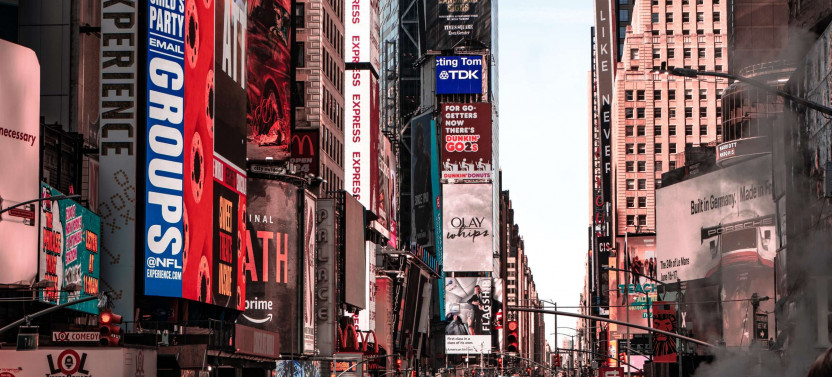 Expert-led New York Half-day Tour