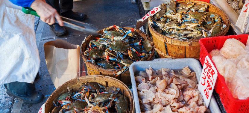 Expert-led New York Food Tour: Chinatown