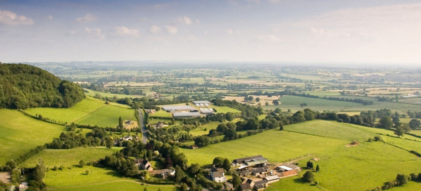 Expert-led Full-day Cotswolds Day Trip From London