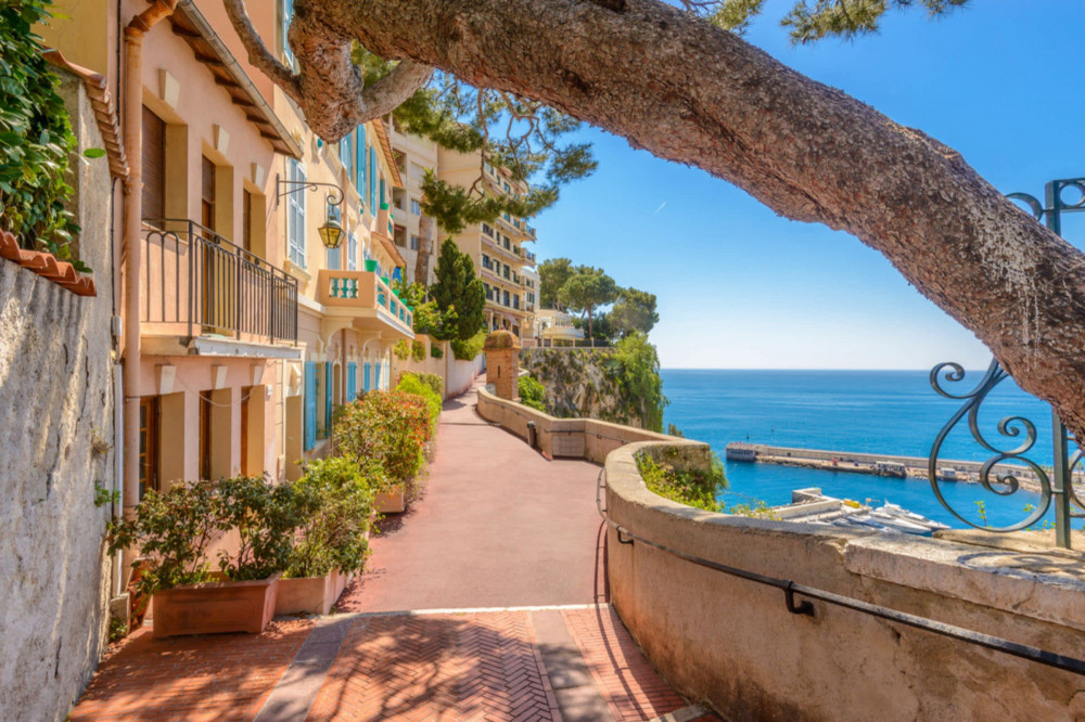 Expert-led Full-day French Riviera From Nice - Monaco Saint-jean-cap-ferrat