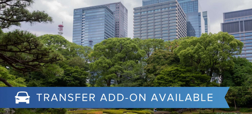 Expert-led Introduction To Tokyo Walking Tour