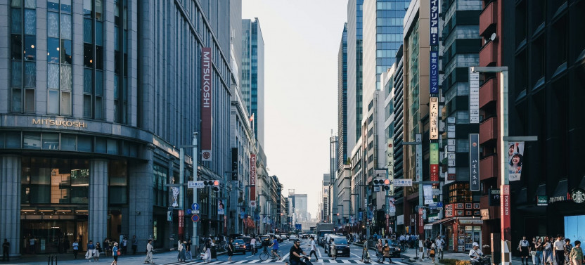Expert-led Introduction To Tokyo Walking Tour