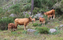 Trek Portugal Tours12