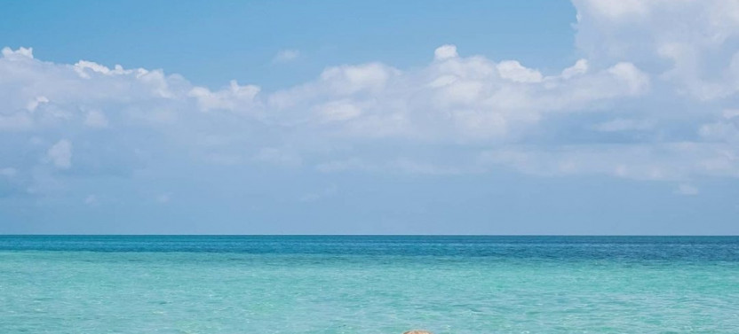 Zanzibar: Prison Island & Nakupenda Sandbank BBQ