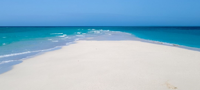 Zanzibar: Prison Island & Nakupenda Sandbank BBQ