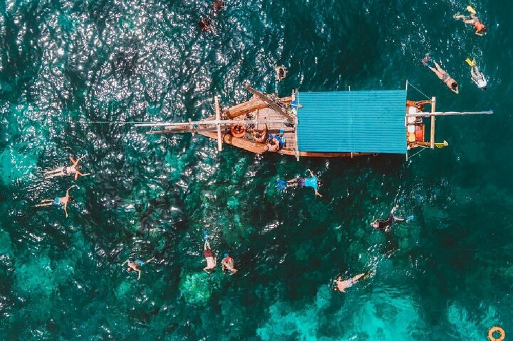 Exploring the Blue Safari Sea Adventure in Zanzibar