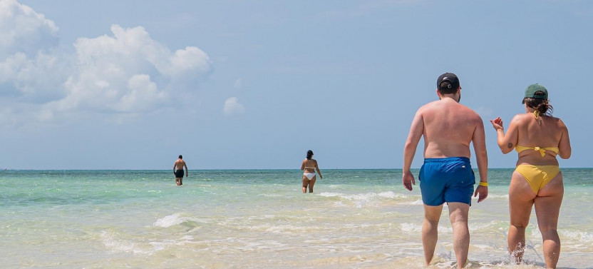 Exploring the Blue Safari Sea Adventure