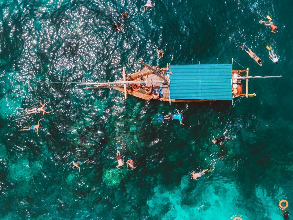 Exploring the Blue Safari Sea Adventure