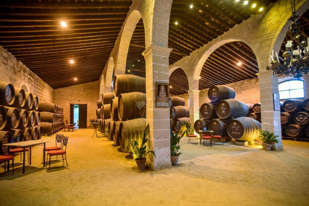 Wine Cellar Guided Visit in Jerez de la Frontera (Tour in English)