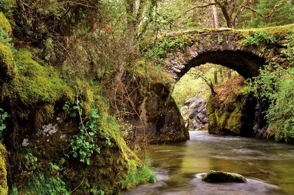 Excursion to Guadarrama National Park from Madrid