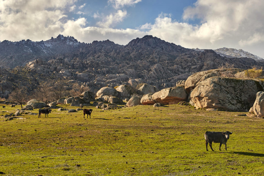 Private tour to Sierra de Guadarrama National Park