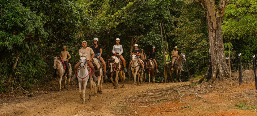 Punta Cana: Zipline, Chairlift, Buggy & Horse Ride Adventure