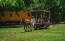 Hacienda Sotuta de Peón4