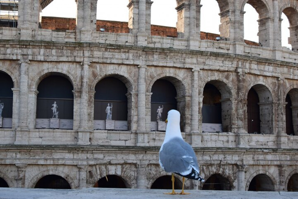 Private Rome Port Tour to Vatican, Colosseum, Main Squares, with Lunch